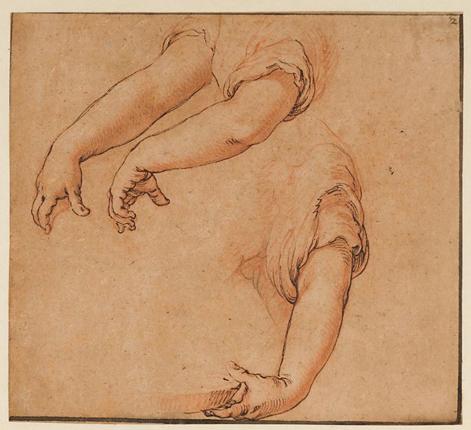 Abraham Bloemaert - Studies of Three Arms and Hands | MasterArt